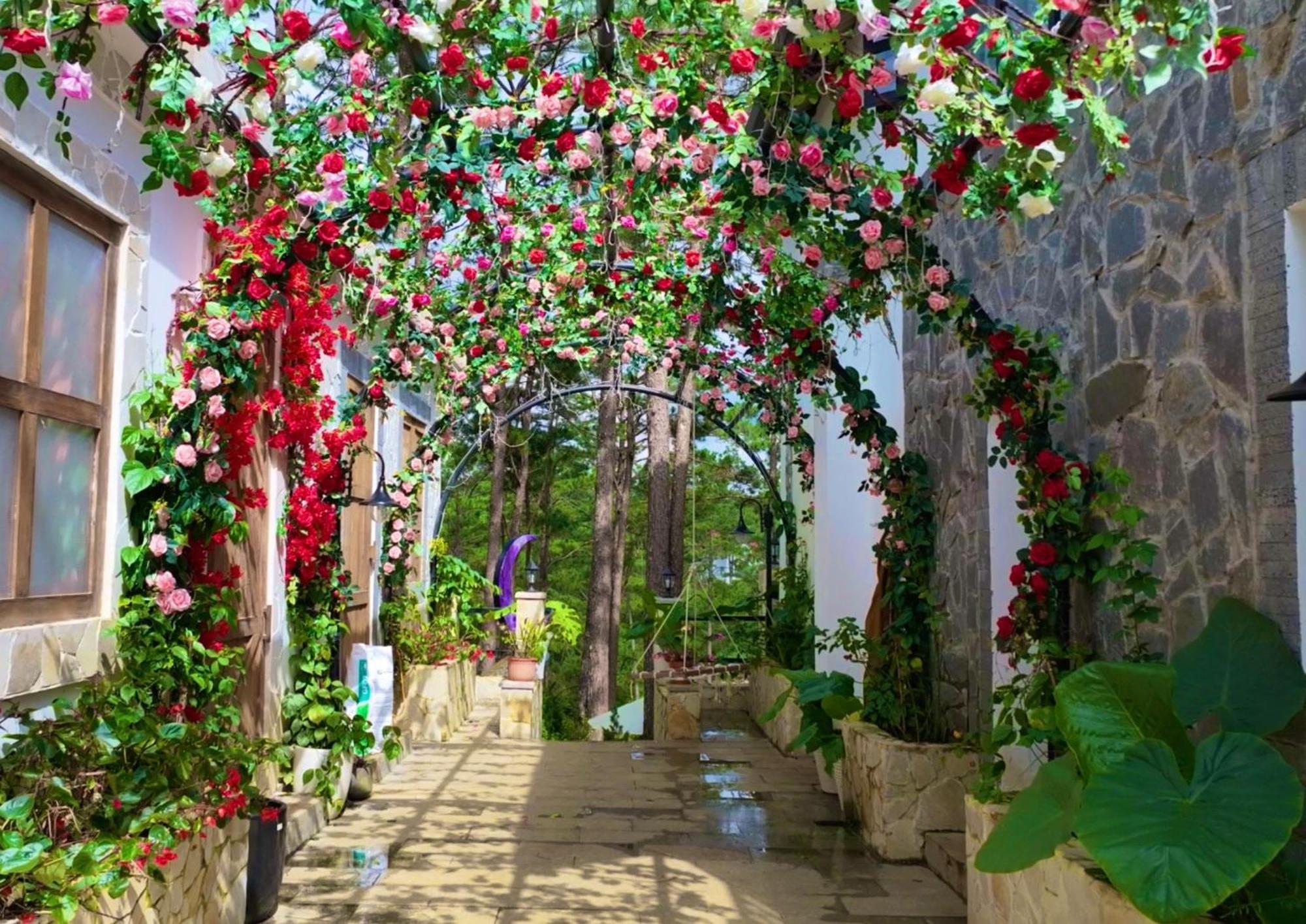 De Vivre Homestay Mang Den Kon Von Kla Εξωτερικό φωτογραφία